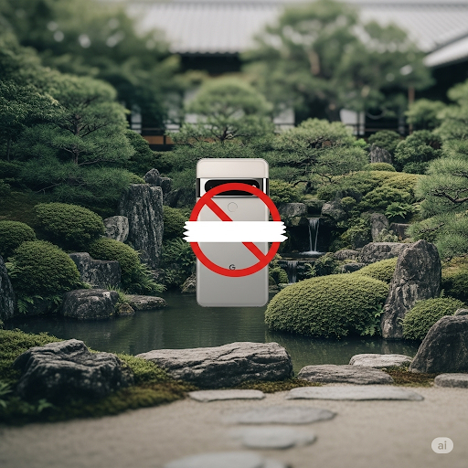 pixel_ban_japan.jpg